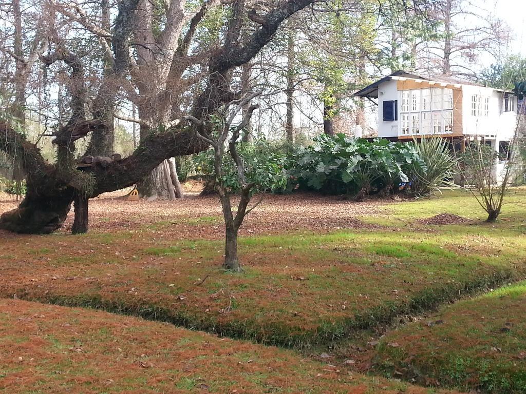 Casa Del Bosque Villa Tigre Bagian luar foto