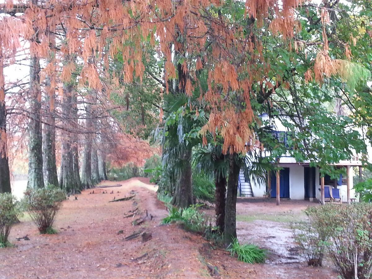 Casa Del Bosque Villa Tigre Bagian luar foto