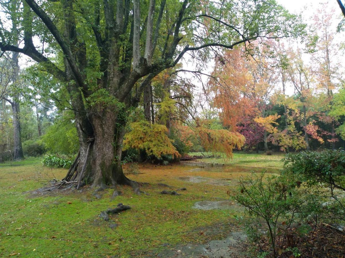 Casa Del Bosque Villa Tigre Bagian luar foto
